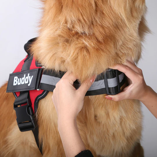 💥Last Day $19.99!🦮Personalized No Pull Dog Harness