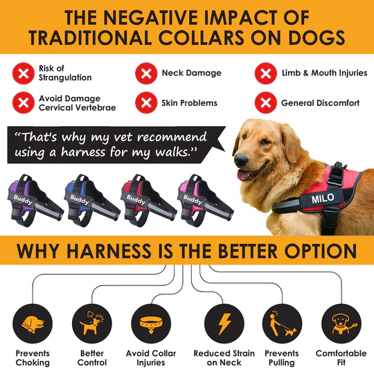 💥Last Day $19.99!🦮Personalized No Pull Dog Harness