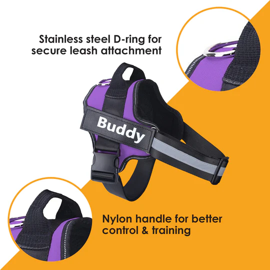 💥Last Day $19.99!🦮Personalized No Pull Dog Harness