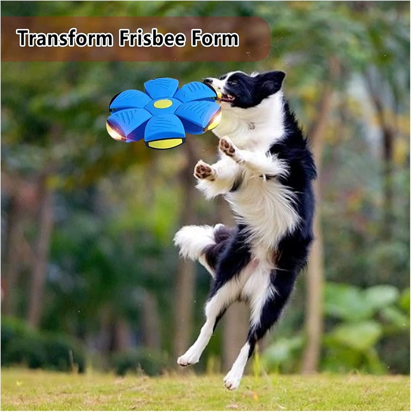 🐱Last Day $19.99!🐈Magic Flying Saucer Ball Moving Bouncing Ball Pet Puzzle Toy