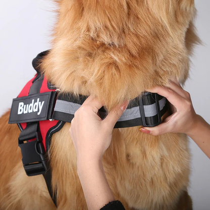 💥Last Day $19.99!🦮Personalized No Pull Dog Harness