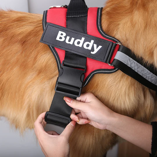 💥Last Day $19.99!🦮Personalized No Pull Dog Harness