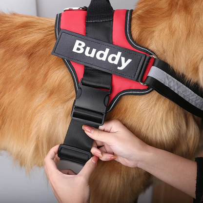 💥Last Day $19.99!🦮Personalized No Pull Dog Harness