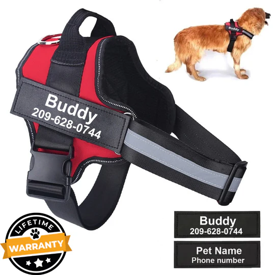 💥Last Day $19.99!🦮Personalized No Pull Dog Harness