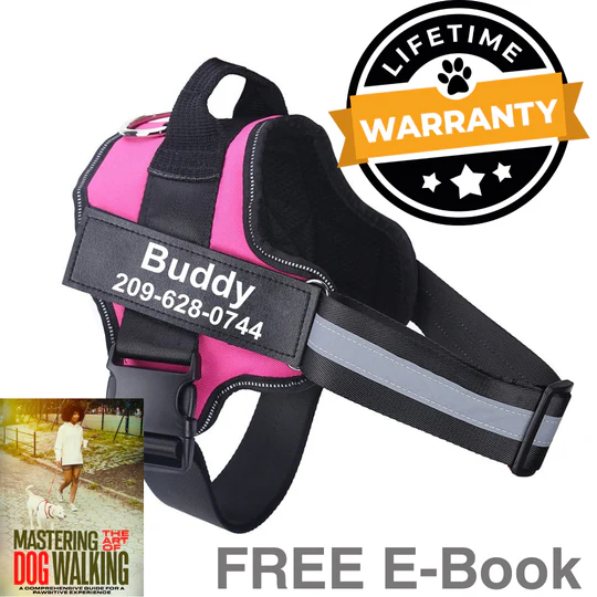 💥Last Day $19.99!🦮Personalized No Pull Dog Harness